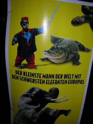 elefant.jpg