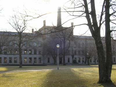 gor06_01.jpg