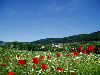 radtour_01.jpg