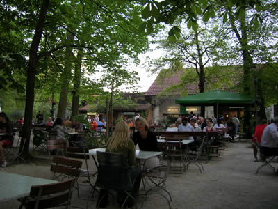 wilderose062.jpg
